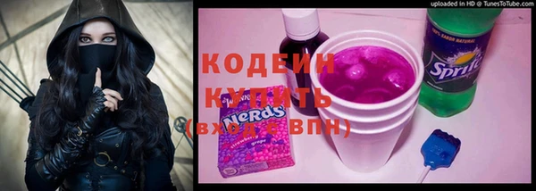 шишки Абаза