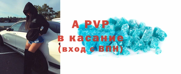 шишки Абаза