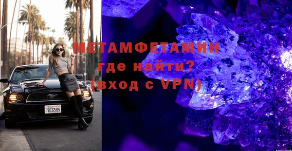 шишки Абаза