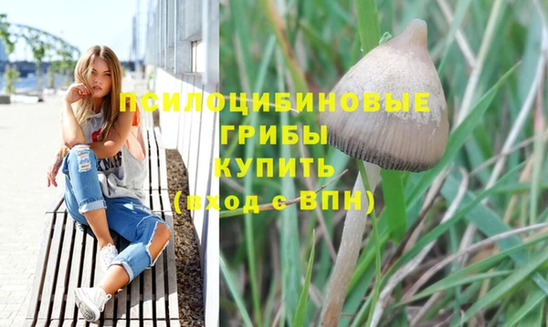 шишки Абаза