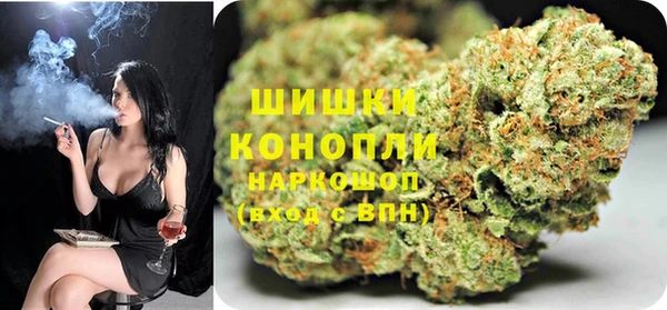 шишки Абаза