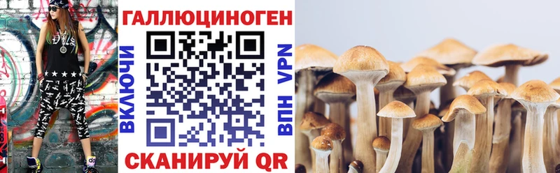 Галлюциногенные грибы прущие грибы Ахтырский